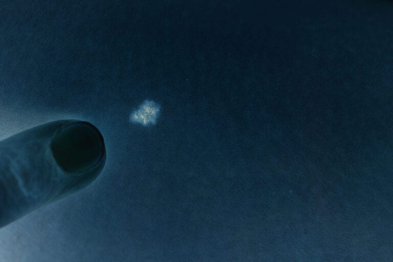 Winter Solstice: A finger points at a blurry white smudge against a dark blue background