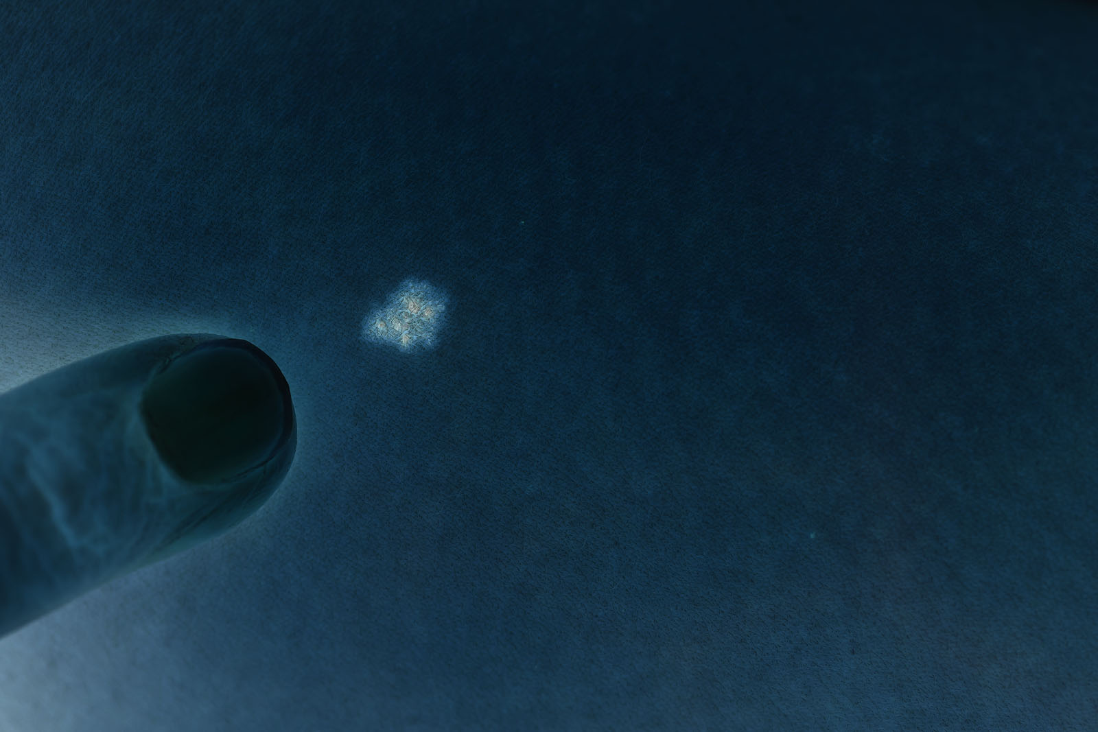 Winter Solstice: A finger points at a blurry white smudge against a dark blue background