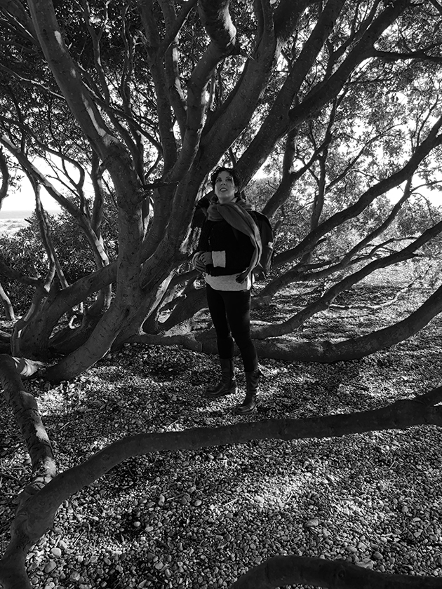 Sarah Gillett and the ancient tree of Deal