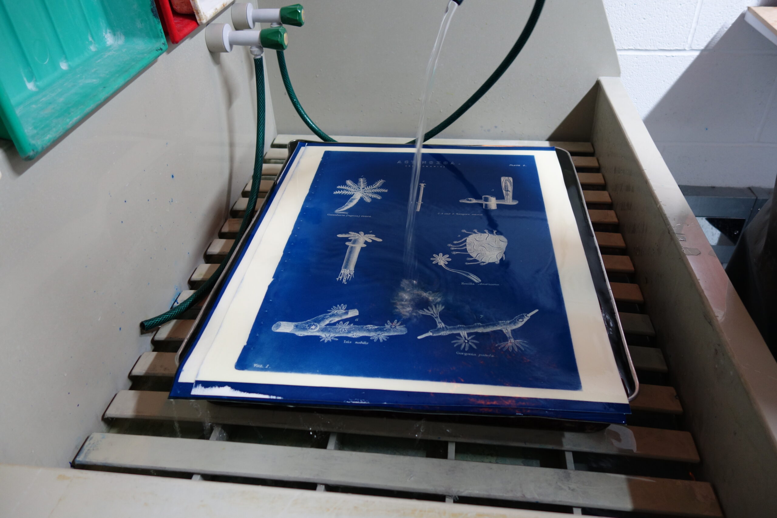 Working with master printmaker Alan Smith at Royal College of Art; © Sarah Gillett